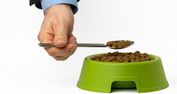 comida de animales