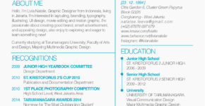 Currículum funcional o temático